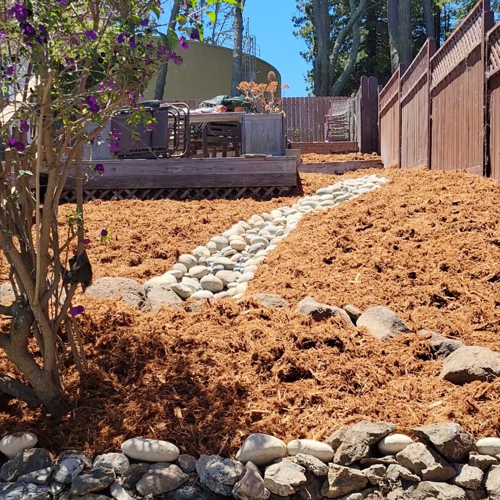 MR Landscaping - dry creek - Landscaping Near Me - Rodeo, California