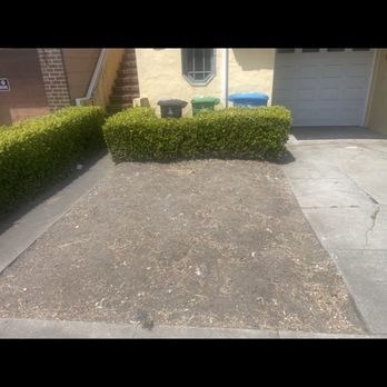 Jorge Landscaping y Garden - Landscaping Near Me Jorge Landscaping y Garden - Landscaping Near Me
