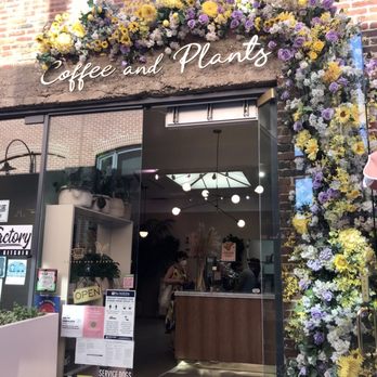 Coffee and Plants - Exterior. - Coffee & Tea Near Me - Pasadena, California Coffee and Plants - Exterior. - Coffee & Tea Near Me - Pasadena, California