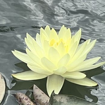 Schnormeier Gardens - Botanical Gardens Near Me - Gambier, Ohio