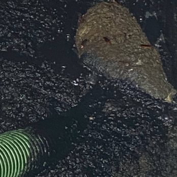 Alligator Septic - Septic Services Near Me Alligator Septic - Septic Services Near Me