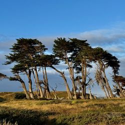 Fort Bragg Coastal Trail