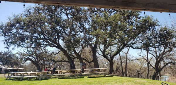 Arrowhead Creek Vineyards by null