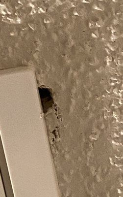 Neighborhood Services Corporation