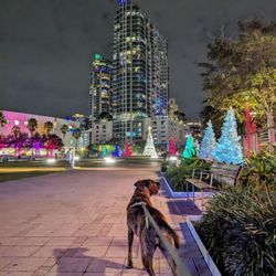 Winter Village at Curtis Hixon