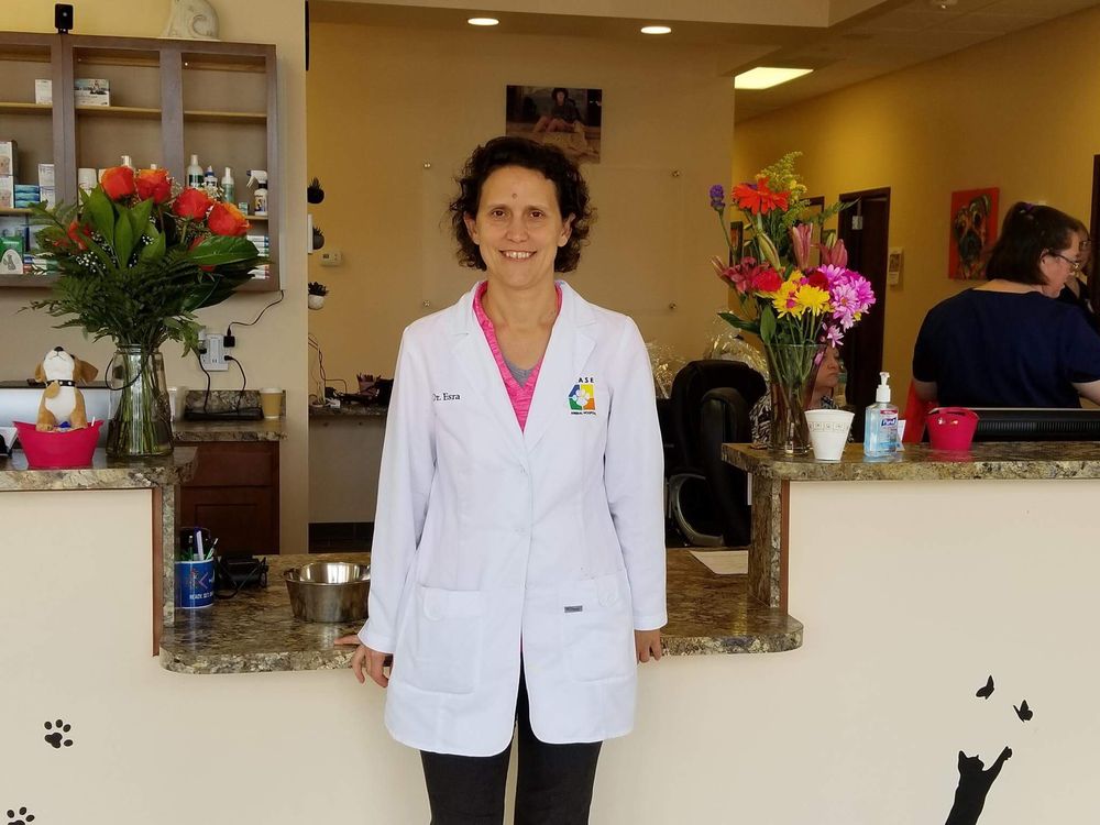 Nease Animal Hospital Image