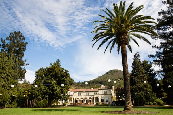 Chateau St. Jean Winery by null