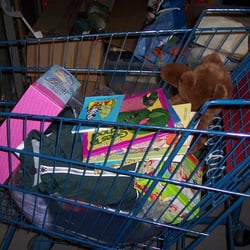 Cradles To Crayons - Sample Cart