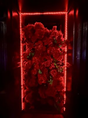 Black Rabbit Rose Magic by null Black Rabbit Rose Magic by null