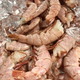 Royal Red Shrimp