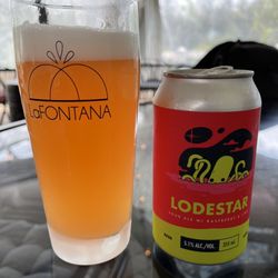 La FONTANA - Lodestar sour from Elora Brewing
