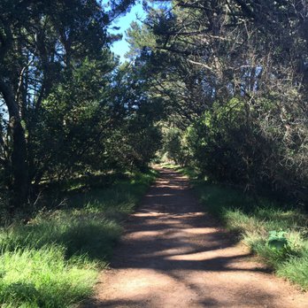 Seaview Trail At Inspiration Point - Mix of shade and sun 50/50 - Hiking Near Me - Berkeley, California Seaview Trail At Inspiration Point - Mix of shade and sun 50/50 - Hiking Near Me - Berkeley, California
