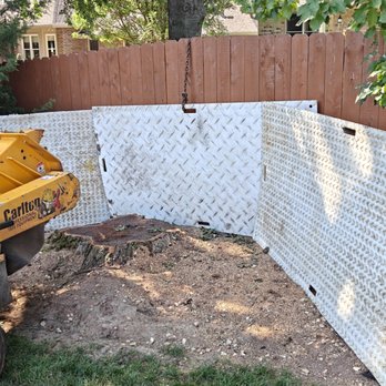T&F Tree & Stump - 417-501-0822
SpringfieldTreeRemoval.com
417-716-8733
417-716-TREE - Tree Services Near Me - Springfield, Missouri T&F Tree & Stump - 417-501-0822
SpringfieldTreeRemoval.com
417-716-8733
417-716-TREE - Tree Services Near Me - Springfield, Missouri