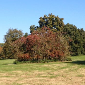 Schloß - Cafes Near Me - Herten, NW