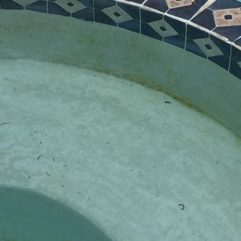 Hobert Pools & Spas - Algae - Pool & Hot Tub Service Near Me - Murphy, Texas