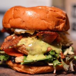 Grilled Chicken Club -
Pickle Brined Grilled Chicken | Bacon | Spicy Avocado | Spring Mix | Tomato | Crispy Potatoes | Aioli | Brioche