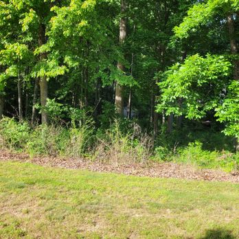 Tamed Terrain - a wooded area with a fire hydrant - Landscaping Near Me - Fredericksburg, Virginia Tamed Terrain - a wooded area with a fire hydrant - Landscaping Near Me - Fredericksburg, Virginia