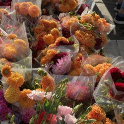 Old Oakland Farmers' Market