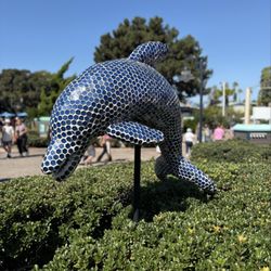 Seaworld Halloween Spooktacular