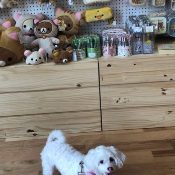 Sanrio - My baby bunny wants a new toy ... - Toy Stores Near Me - Los Angeles, California Sanrio - My baby bunny wants a new toy ... - Toy Stores Near Me - Los Angeles, California