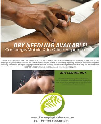Olive Tree Physical Therapy