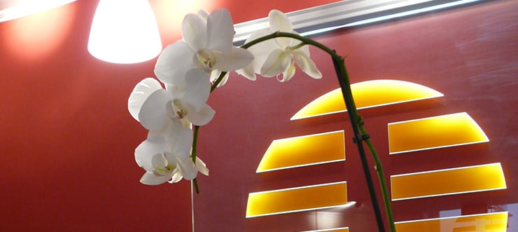 Physiotherapie Rühlmann & Klohß