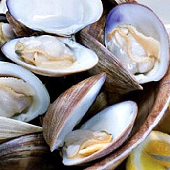 Hog's Hollow Saloon - Affordable seafood available daily! Clams available daily, on special Monday Nights - Seafood Near Me - Berwick, Pennsylvania Hog's Hollow Saloon - Affordable seafood available daily! Clams available daily, on special Monday Nights - Seafood Near Me - Berwick, Pennsylvania