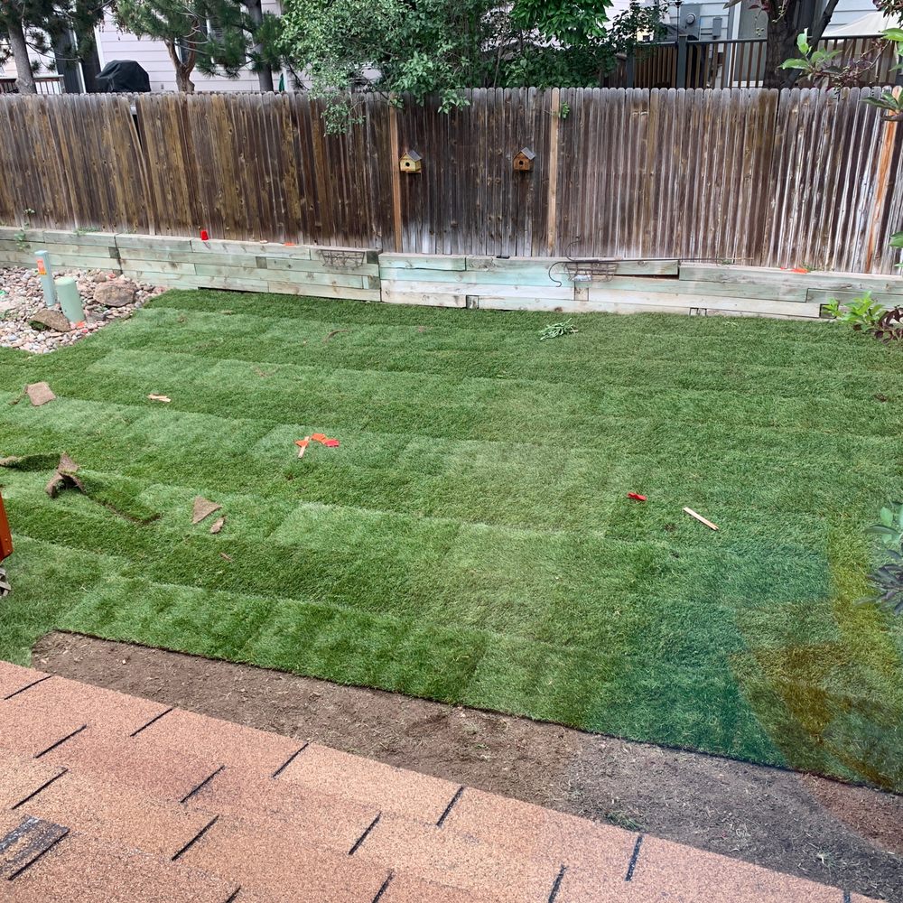 Korby Sod - Install #2 - Landscaping Near Me - Wellington, Colorado