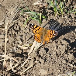 Sierra Vista Open Space Preserve