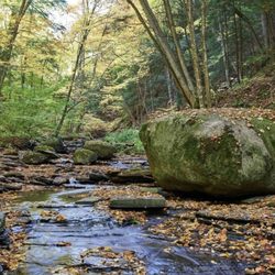 Wesley Hill Nature Preserve - Creek Walk