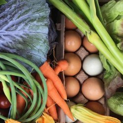 Farm To Friends Country Markets - Fresh premium produce, locally crafted foods & groceries