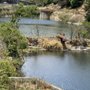Photo of Laguna Honda Reservoir