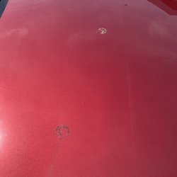 Two different spots of bird poop that it didn't get