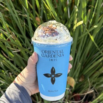 Molly Tea - Snowy gardenia - Bubble Tea Near Me - Sunnyvale, California Molly Tea - Snowy gardenia - Bubble Tea Near Me - Sunnyvale, California