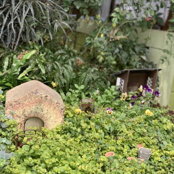 Wilson Nurseries - Nurseries & Gardening Near Me - Frankfort, Kentucky