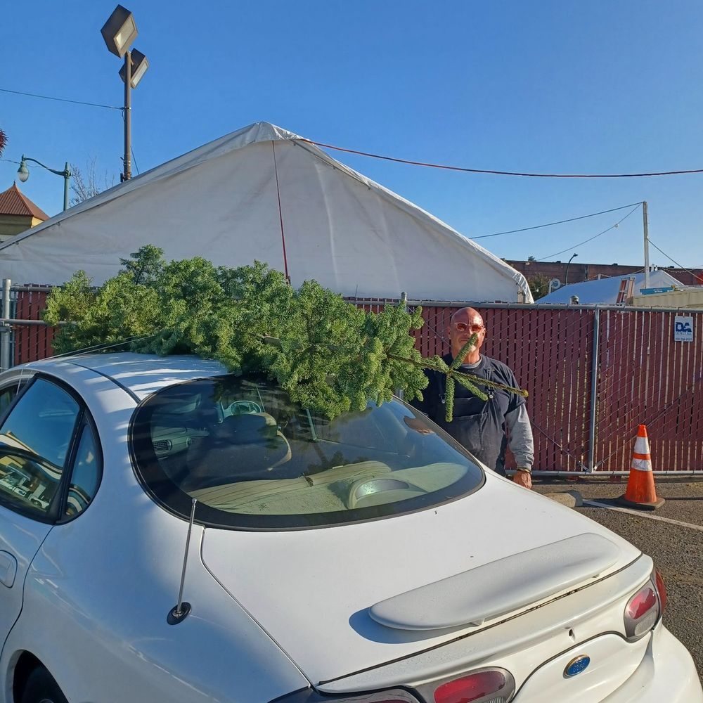 Crystal River Xmas Trees - Stacy helped with loading tree - Christmas Trees Near Me - Alameda, California