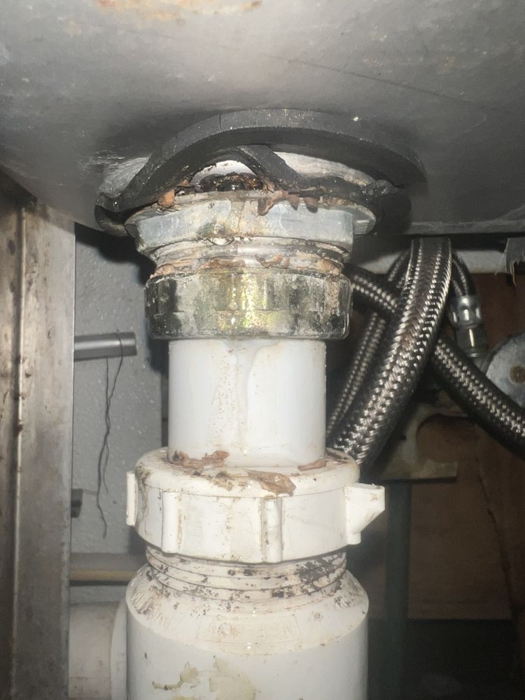 Slide of Surfin' Dood Plumbing