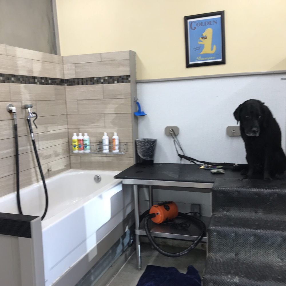 Doggie Dips & Chips - Very nice way areas and earth friendly/no animal cruelty bathing supplies - Pet Services Near Me - Loveland, Colorado Doggie Dips & Chips - Very nice way areas and earth friendly/no animal cruelty bathing supplies - Pet Services Near Me - Loveland, Colorado