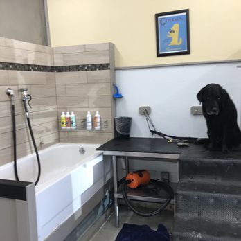 Doggie Dips & Chips - Very nice way areas and earth friendly/no animal cruelty bathing supplies - Pet Services Near Me - Loveland, Colorado Doggie Dips & Chips - Very nice way areas and earth friendly/no animal cruelty bathing supplies - Pet Services Near Me - Loveland, Colorado