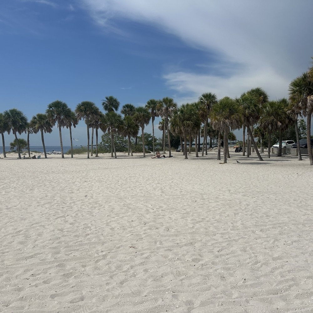 Fred Howard Park - The beach - Parks Near Me - Tarpon Springs, Florida Fred Howard Park - The beach - Parks Near Me - Tarpon Springs, Florida