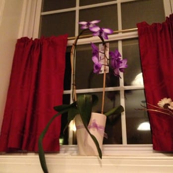 Vaso's Kitchen - Real orchid at our table - Greek Near Me - Alexandria, Virginia Vaso's Kitchen - Real orchid at our table - Greek Near Me - Alexandria, Virginia