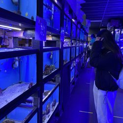 J & L Aquatics