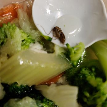 Big Chopsticks - A roach in the soup - Chinese Near Me - Anaheim, California Big Chopsticks - A roach in the soup - Chinese Near Me - Anaheim, California