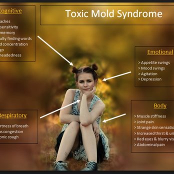 EnviroFocus - Toxic Mold Syndrome - Environmental Testing Near Me - San Jose, California EnviroFocus - Toxic Mold Syndrome - Environmental Testing Near Me - San Jose, California