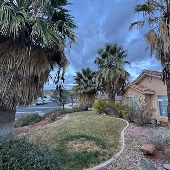 The Arborist - Tree Services Near Me - Virgin, Utah The Arborist - Tree Services Near Me - Virgin, Utah