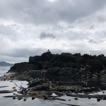 Anacortes Kayak Tours - Rafting/Kayaking Near Me - Anacortes, Washington