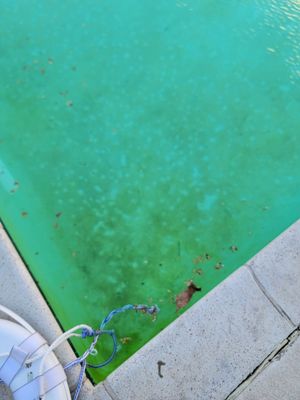 La Pacifica Apartments by null