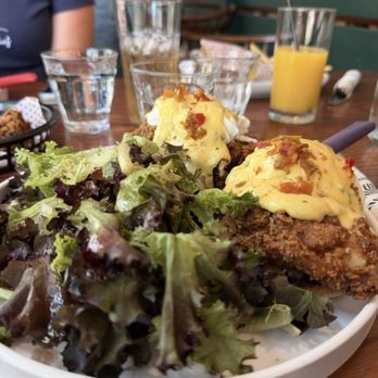 Shy Bird - CHICKEN BENEDICT - Diners Near Me - Boston, Massachusetts Shy Bird - CHICKEN BENEDICT - Diners Near Me - Boston, Massachusetts
