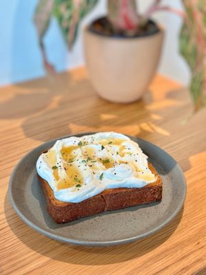 Thank You Coffee Anaheim by null