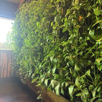 Greenhouse Cafe - Cafes Near Me - Citrus Heights, California Greenhouse Cafe - Cafes Near Me - Citrus Heights, California